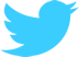 Twitter Icon